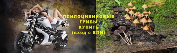 таблы Гусиноозёрск