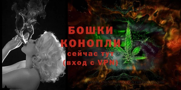 ешки Гусев