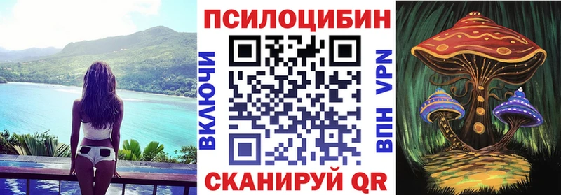 Псилоцибиновые грибы Psilocybine cubensis Котельниково